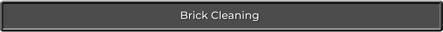 Brick Cleaning