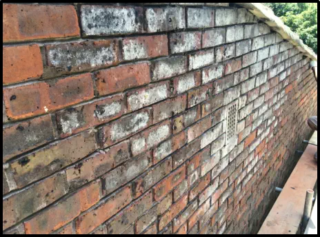 Brick Cleaning and Stain Removal - Essex
